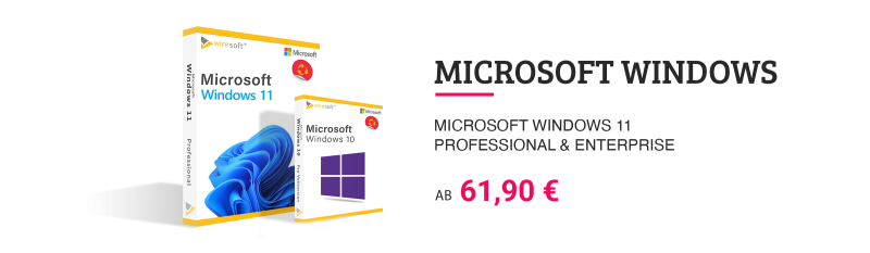 Windows 11 kaufen und sofort herunterladen