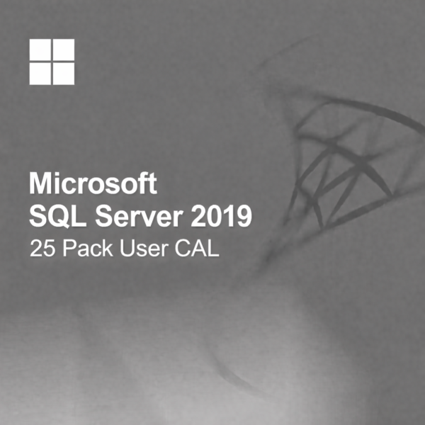 Microsoft SQL Server 2019 - 25 Pack User CALs