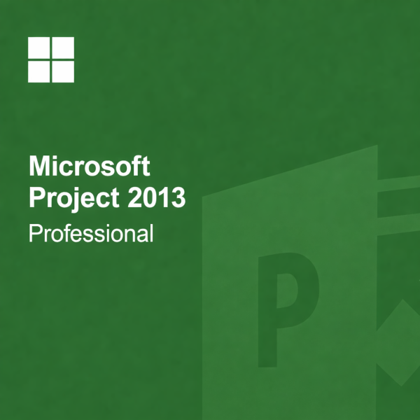 Microsoft Project 2013 Professional