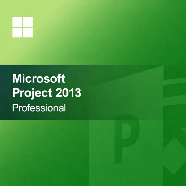 Microsoft Project 2013 Standard