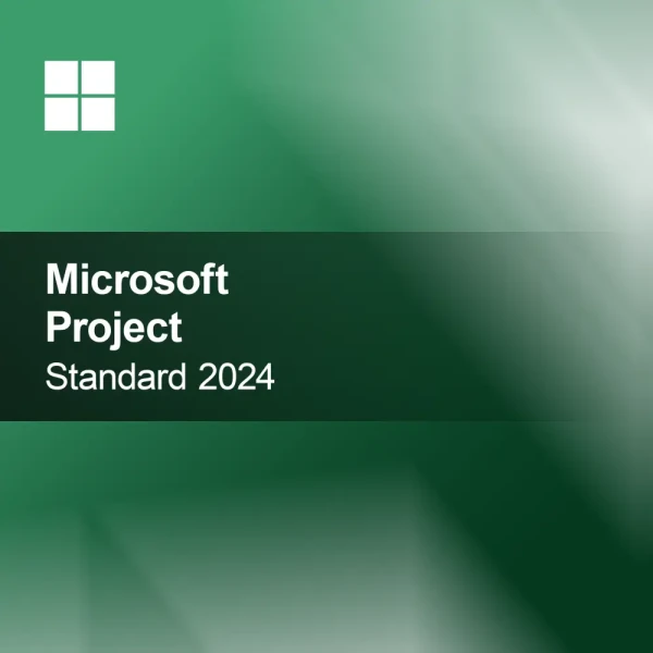 Microsoft Project 2024 Standard