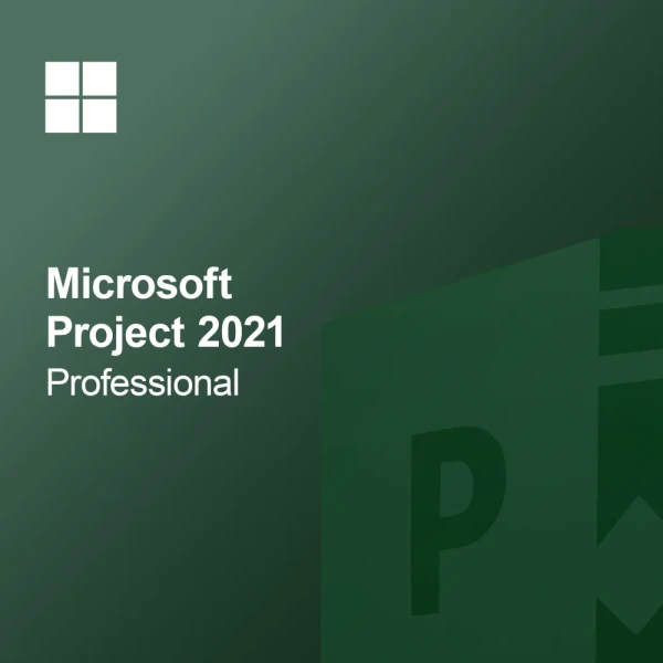 Microsoft Project 2021 Professional