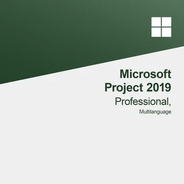 Microsoft Project 2019 Professional