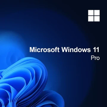Windows 11 Professional
