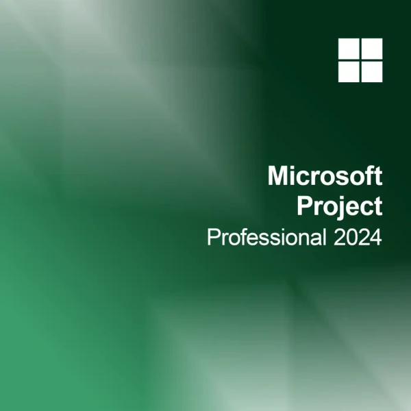Microsoft Project 2024 Professional