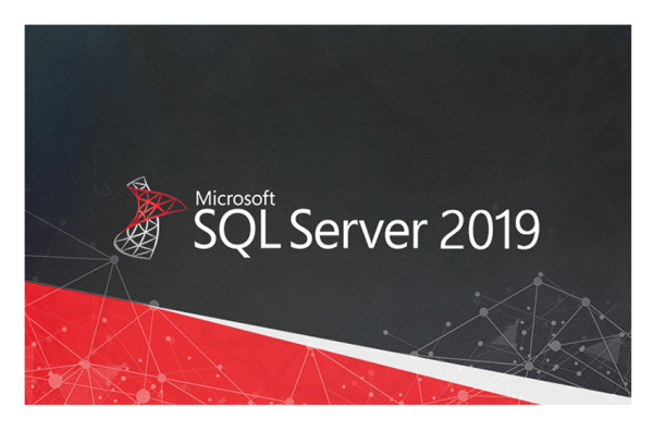 MICROSOFT SQL SERVER 2019 STANDARD