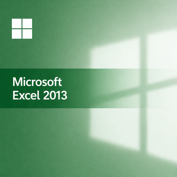 MICROSOFT EXCEL 2013