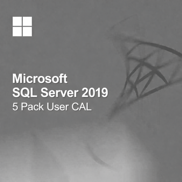 MICROSOFT SQL SERVER 2019 - 5 PACK USER CAL