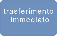 SOFORT-Überweisung